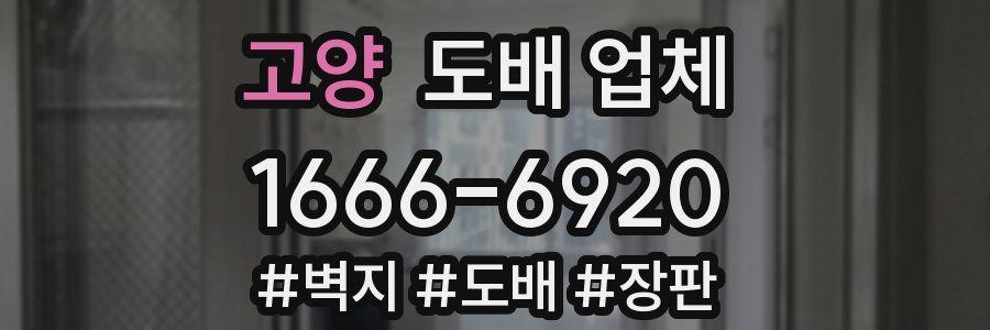고양 도배 업체
