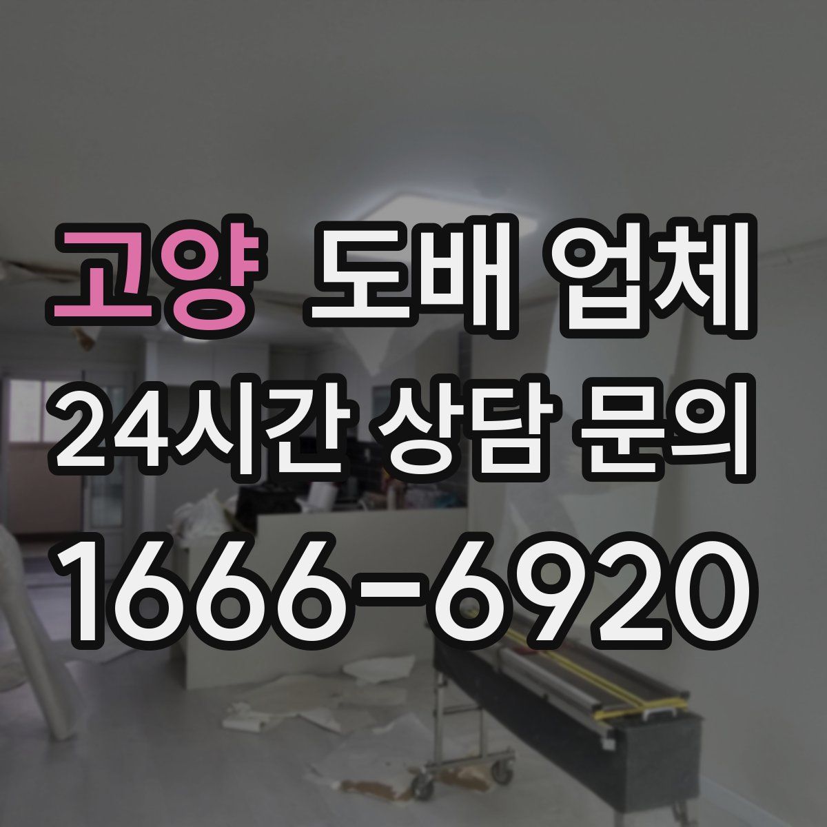 고양 도배 업체