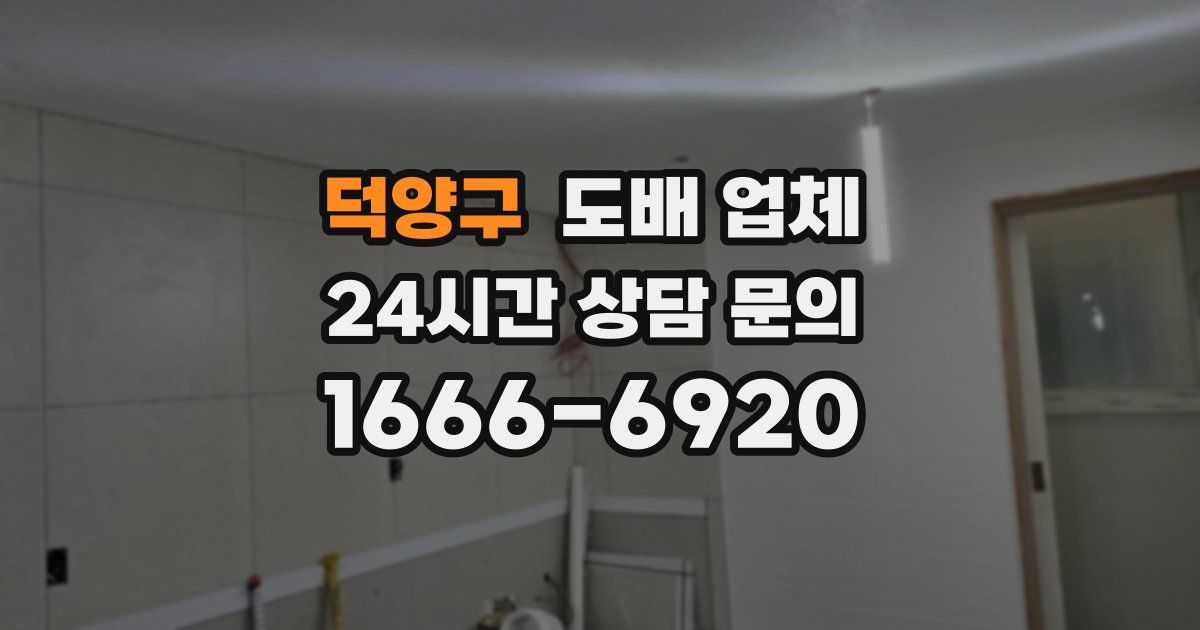 덕양구 도배 업체