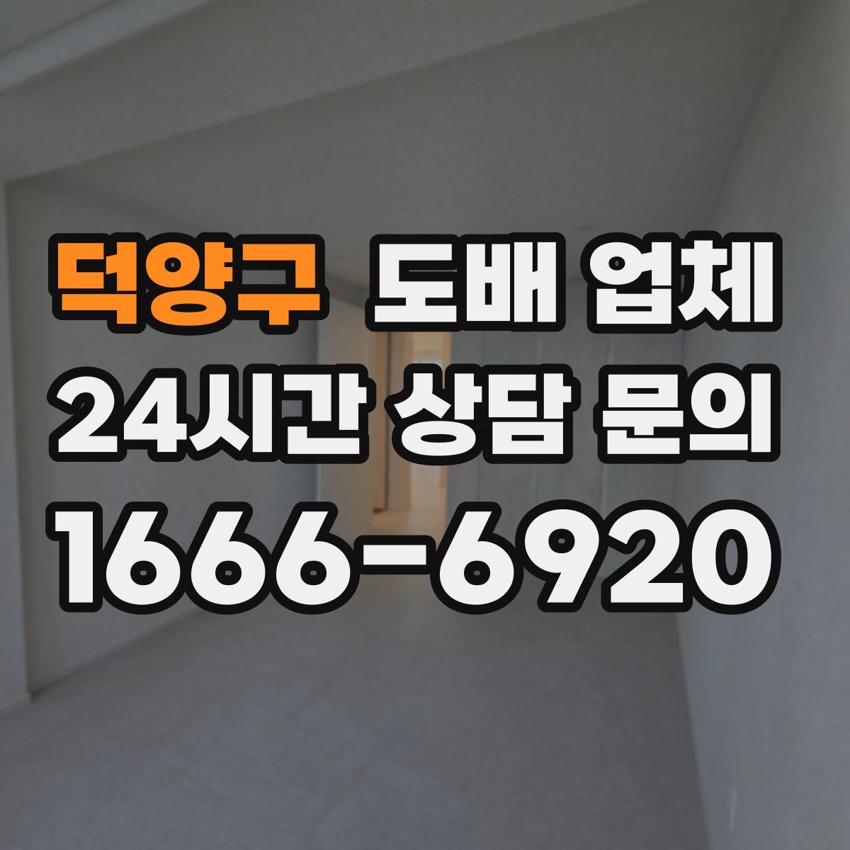 덕양구 도배 업체