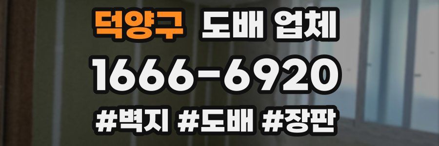 덕양구 도배 업체