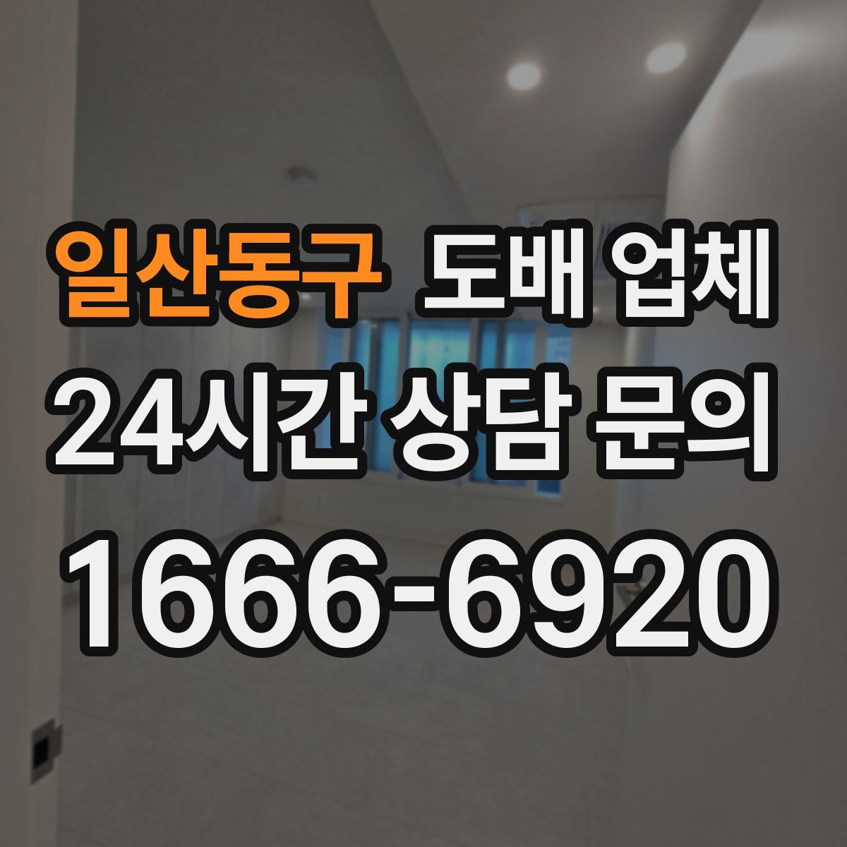일산동구 도배 업체