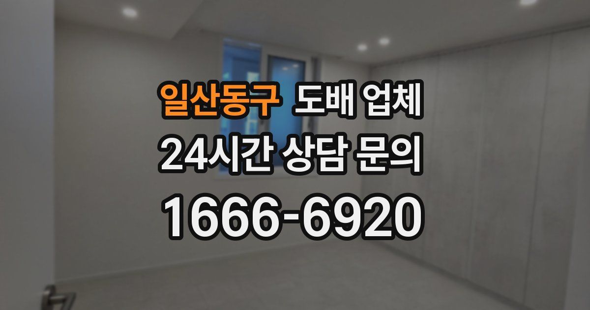 일산동구 도배 업체