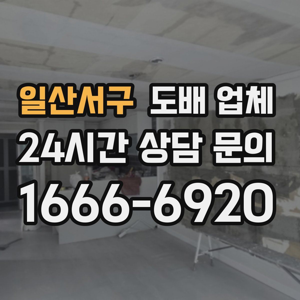 일산서구 도배 업체