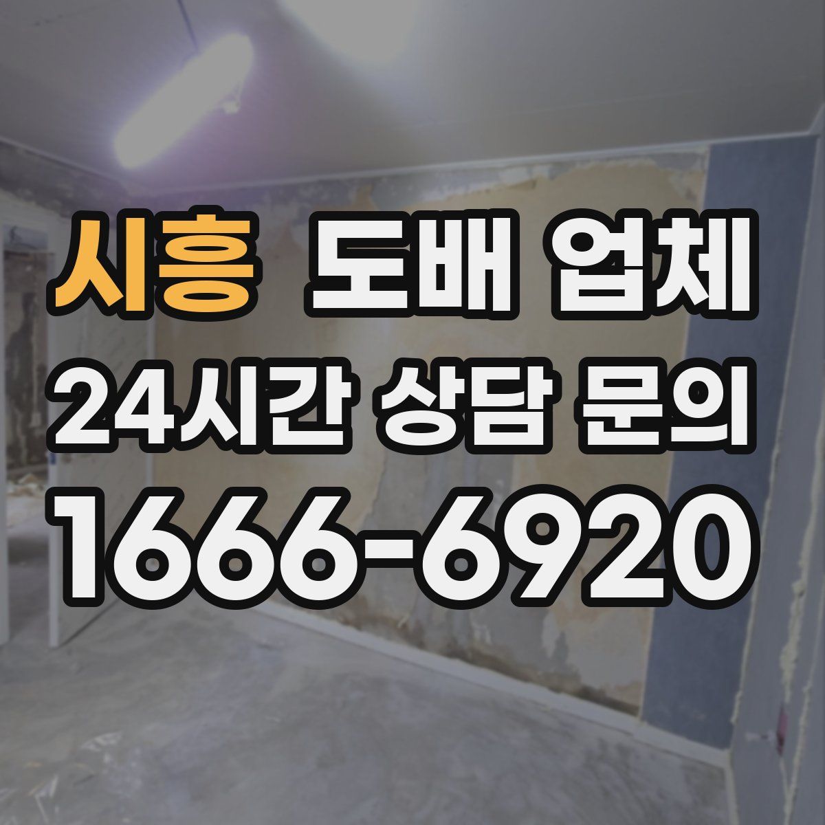시흥 도배 업체