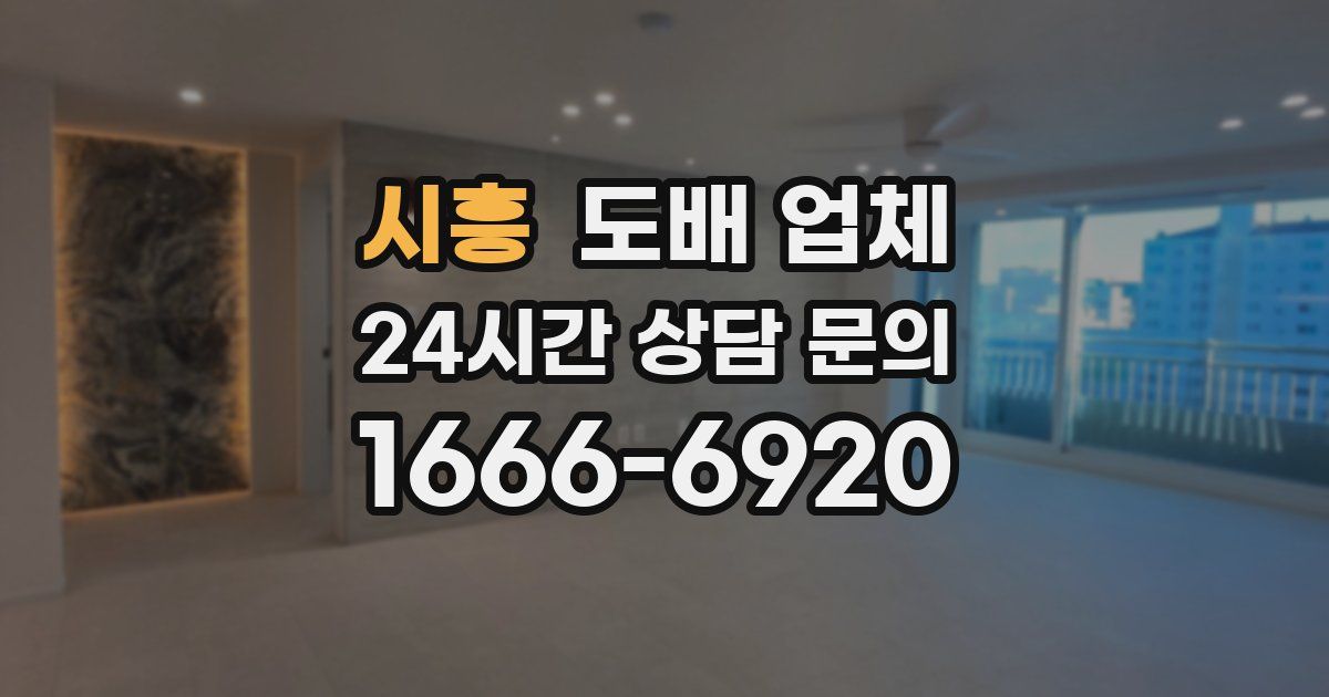 시흥 도배 업체
