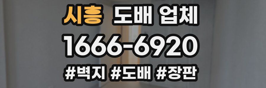 시흥 도배 업체