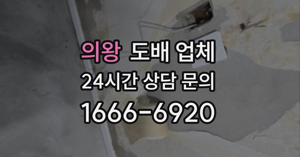 의왕 도배 업체