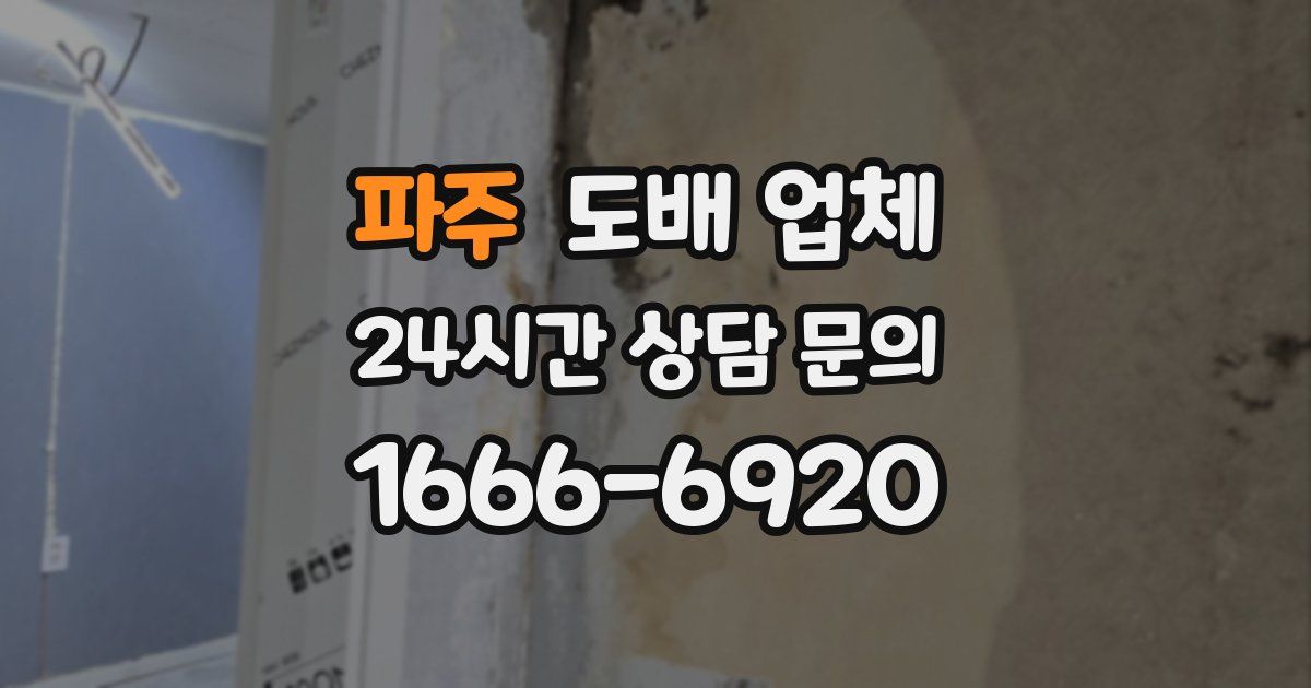 파주 도배 업체