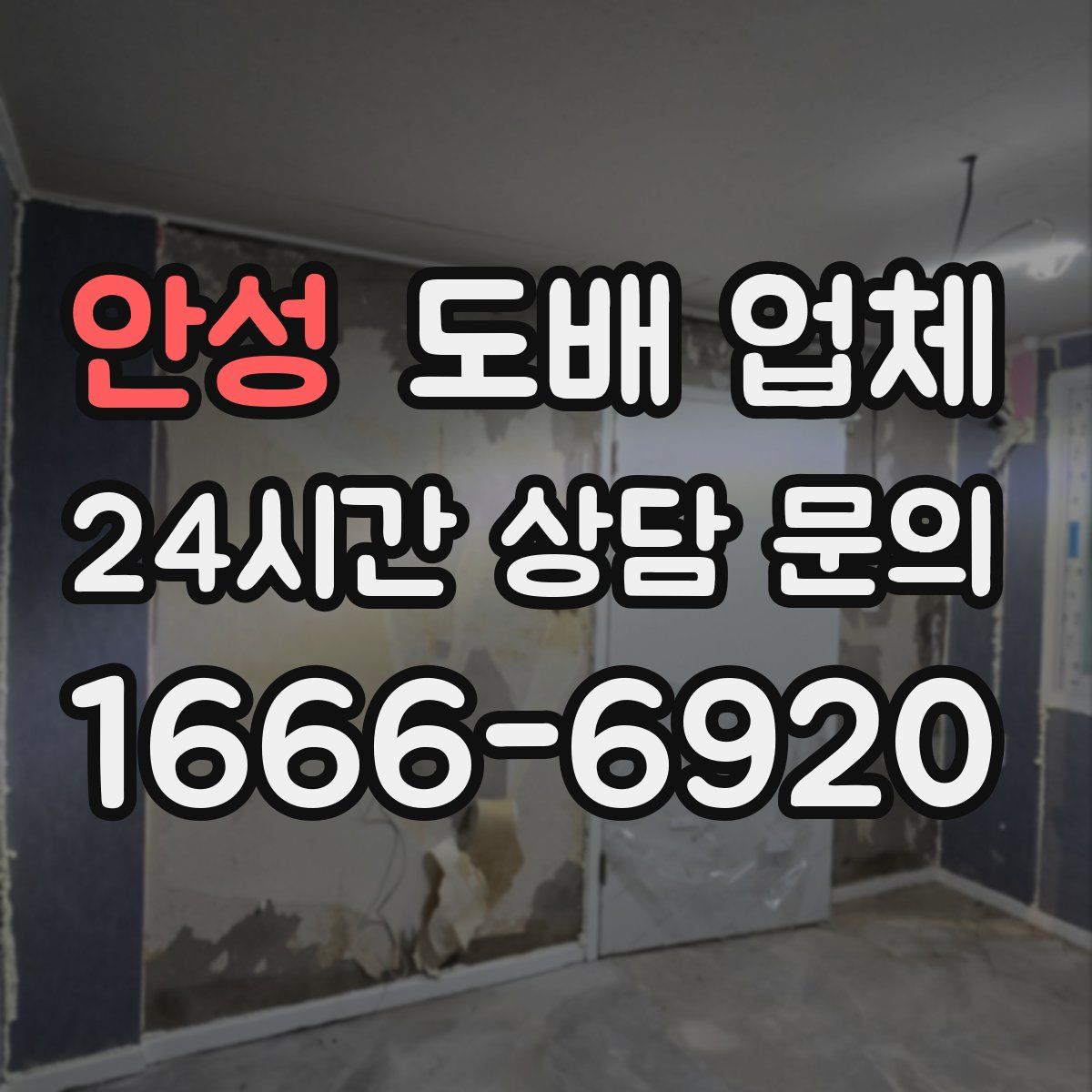 안성 도배 업체