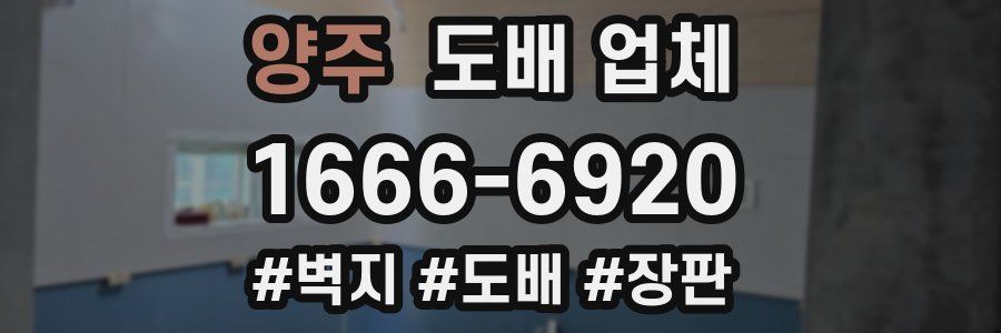 양주 도배 업체