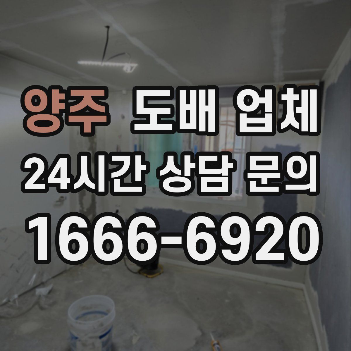 양주 도배 업체