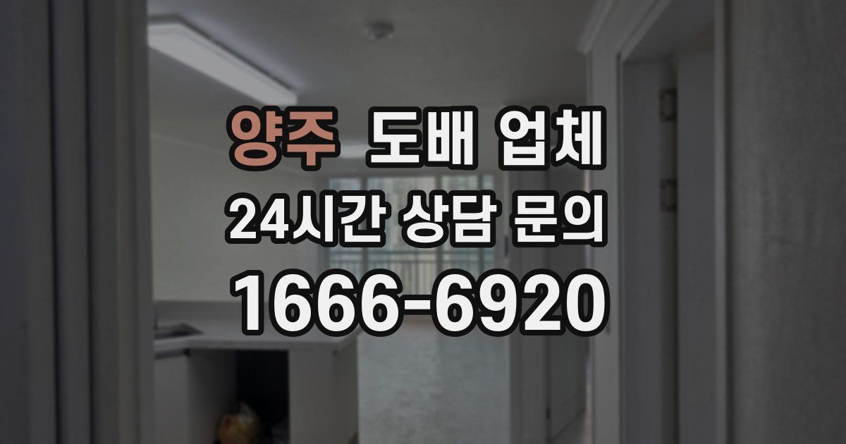 양주 도배 업체