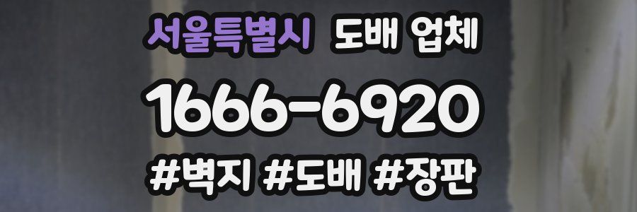 서울특별시 도배 업체