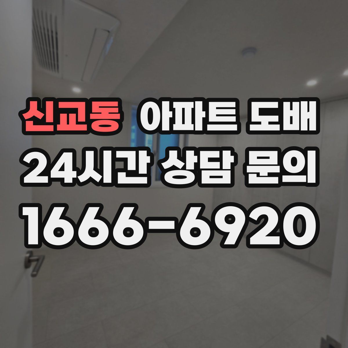 신교동 아파트 도배
