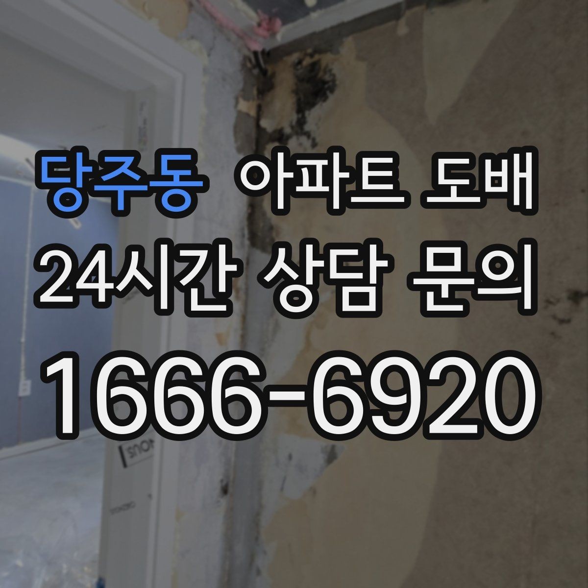 당주동 아파트 도배 벽면 오염이 심할 때 대처 방식