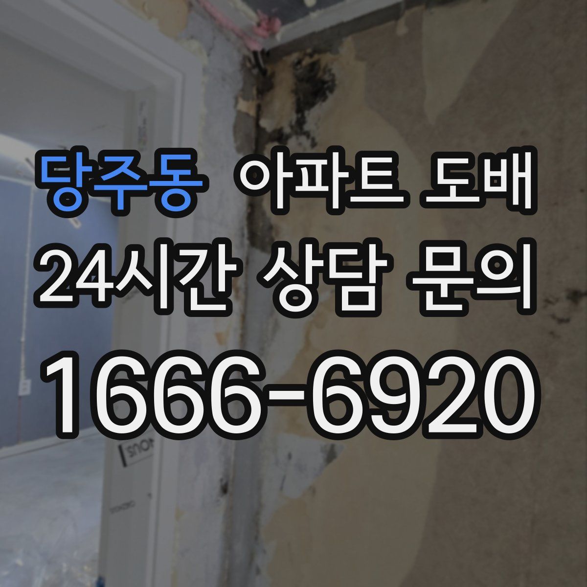 당주동 아파트 도배