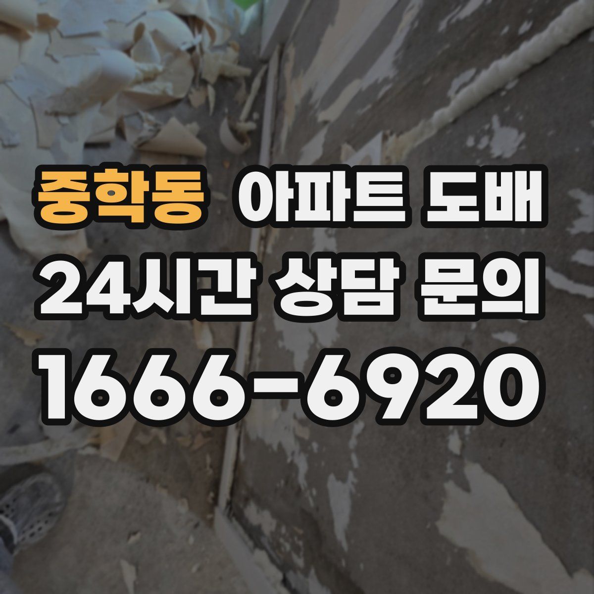 중학동 아파트 도배