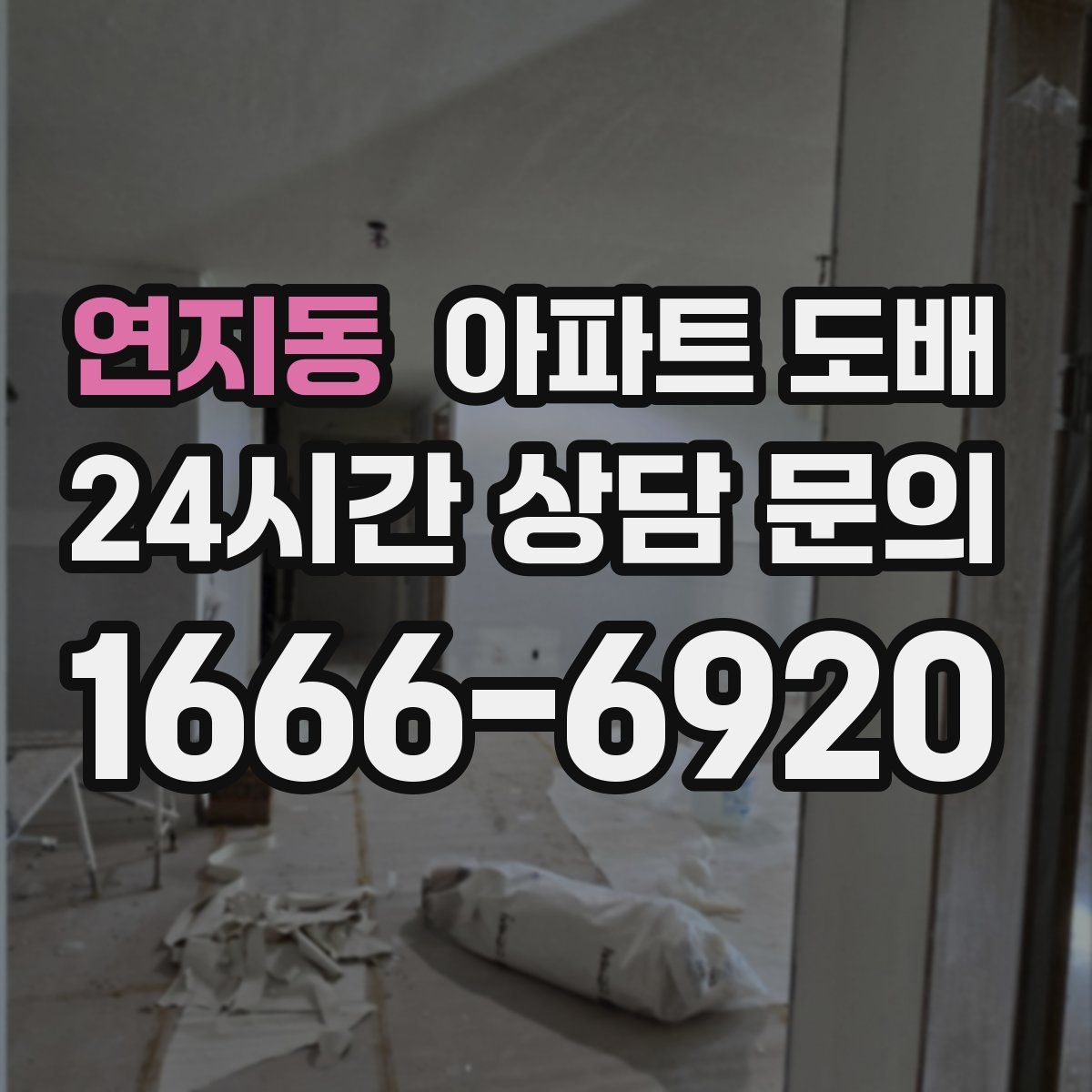 연지동 아파트 도배