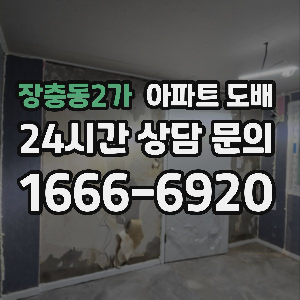 장충동2가 아파트 도배