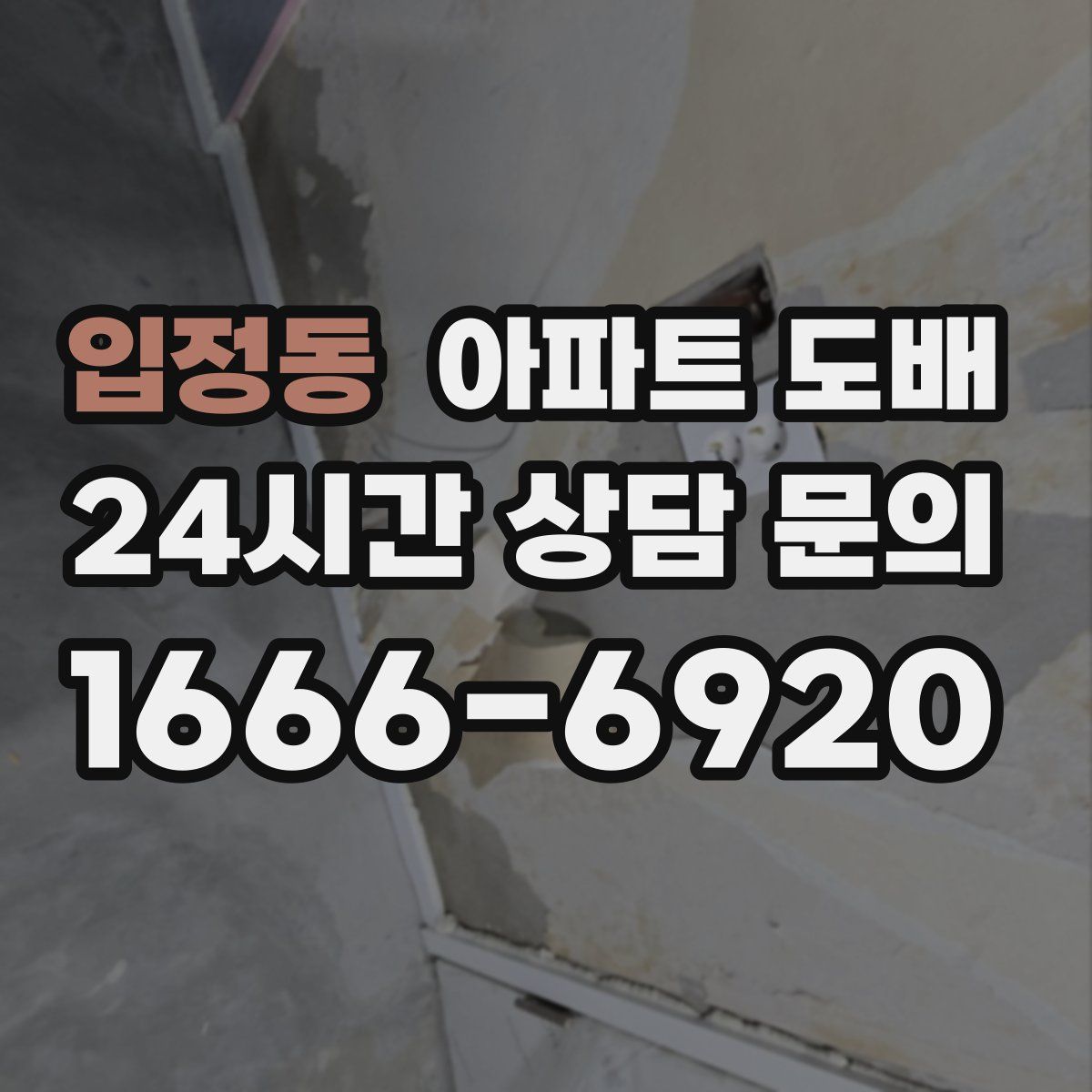 입정동 아파트 도배