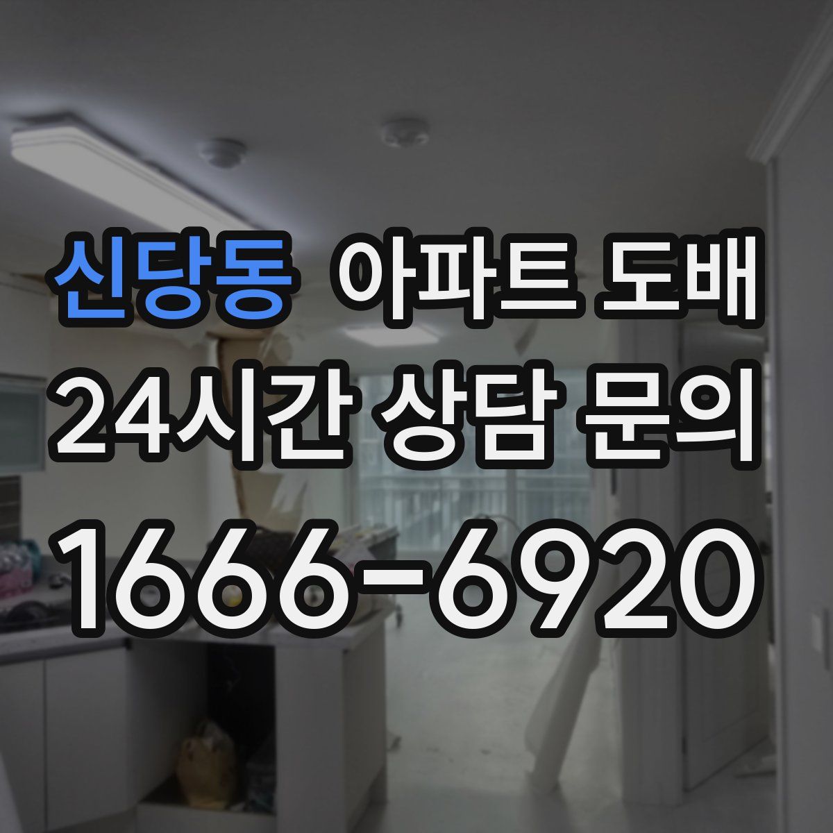 신당동 아파트 도배
