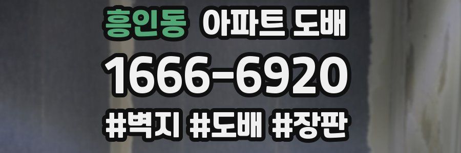 흥인동 아파트 도배