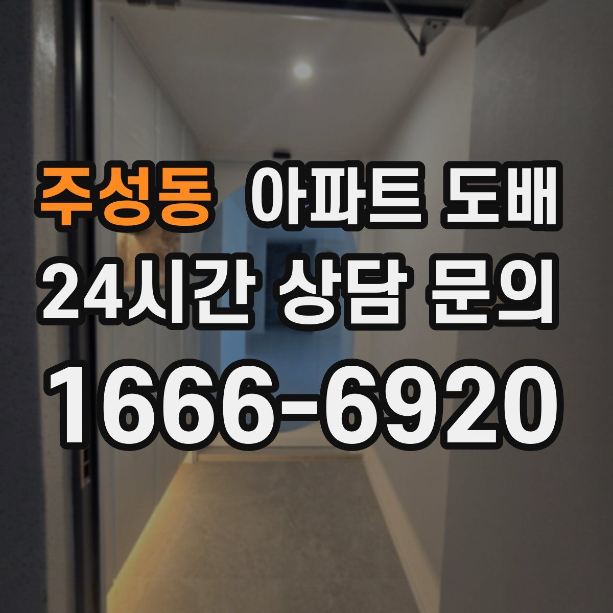 주성동 아파트 도배