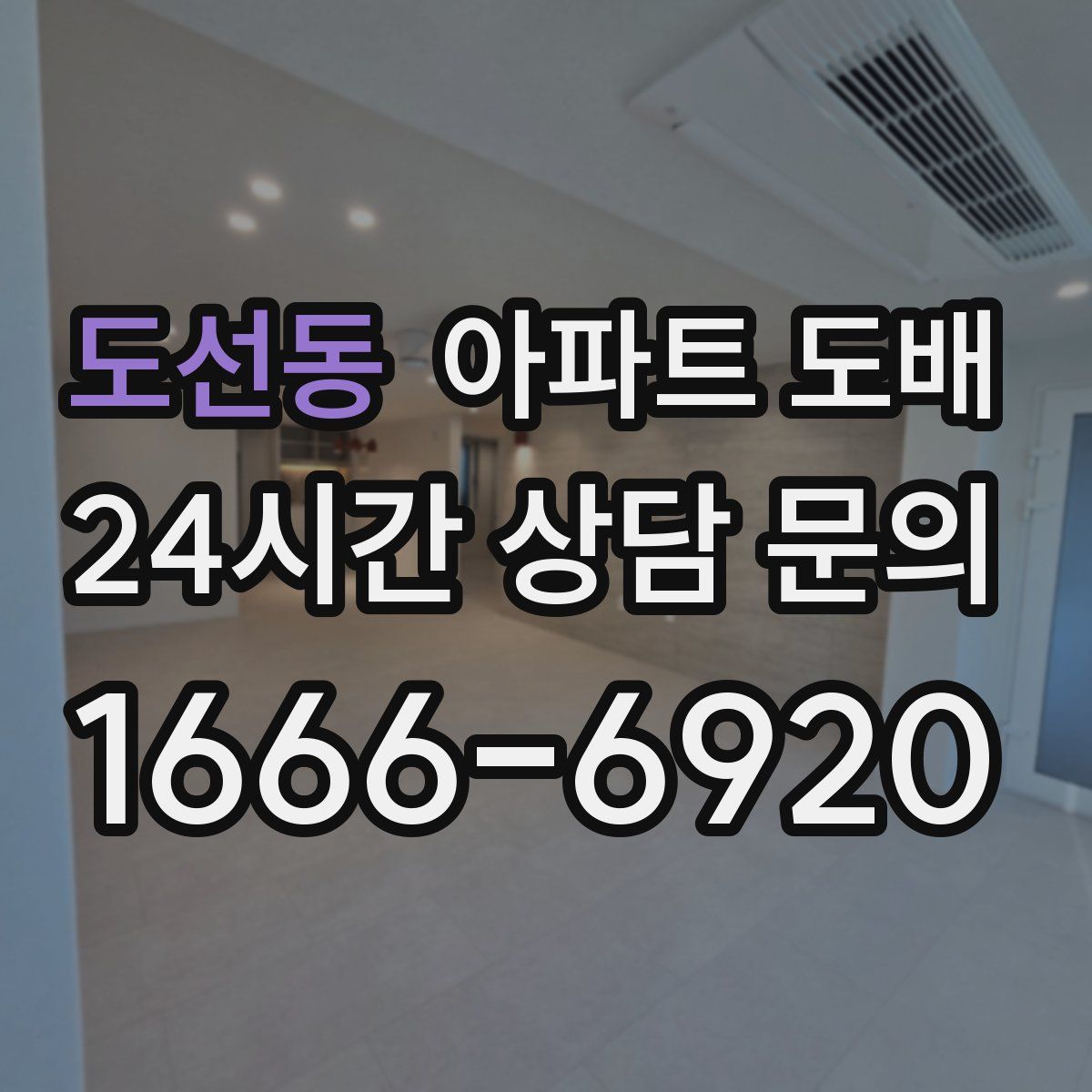 도선동 아파트 도배