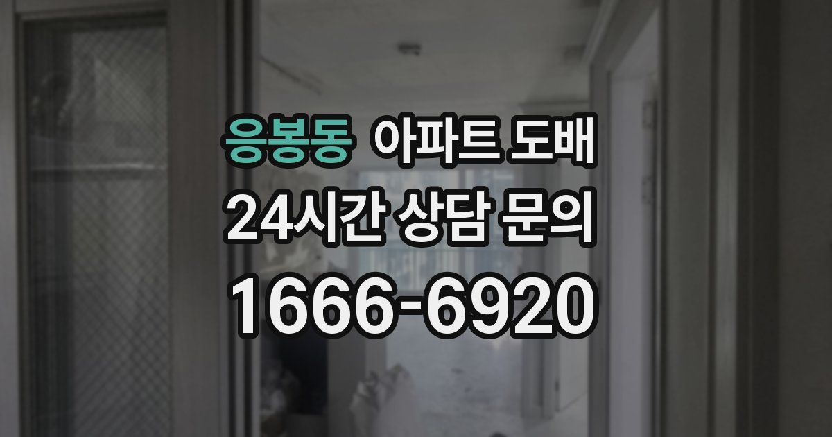 응봉동 아파트 도배