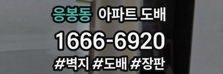 응봉동 아파트 도배