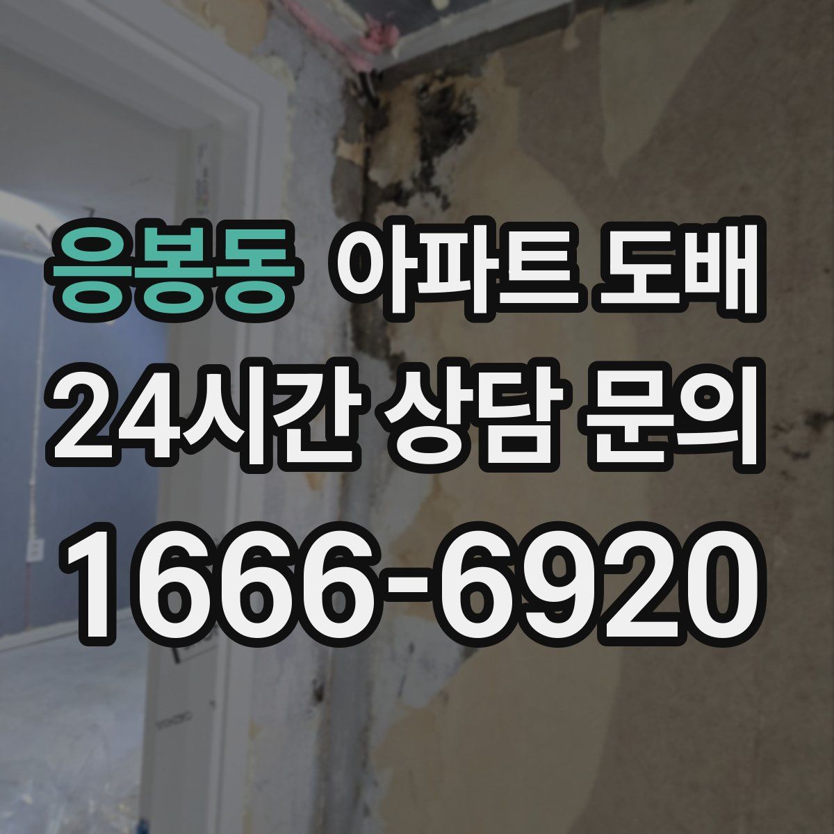 응봉동 아파트 도배