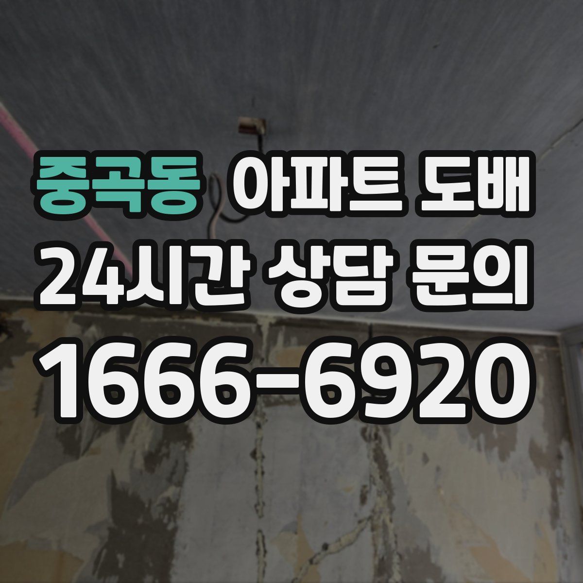 중곡동 아파트 도배
