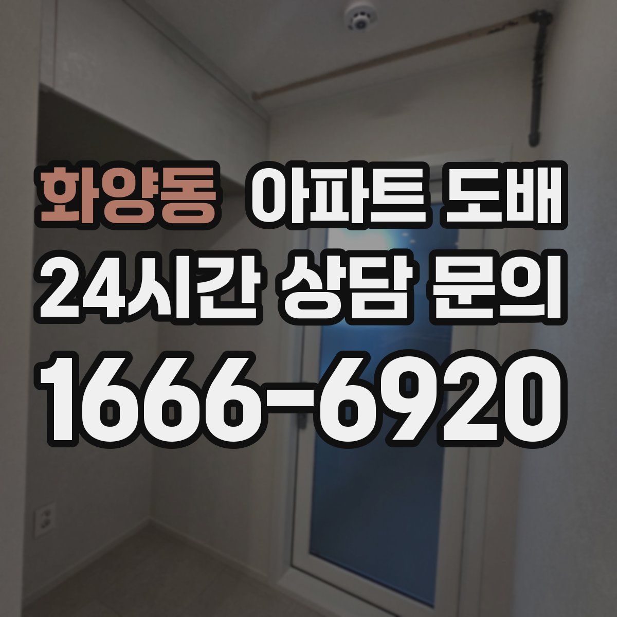 화양동 아파트 도배