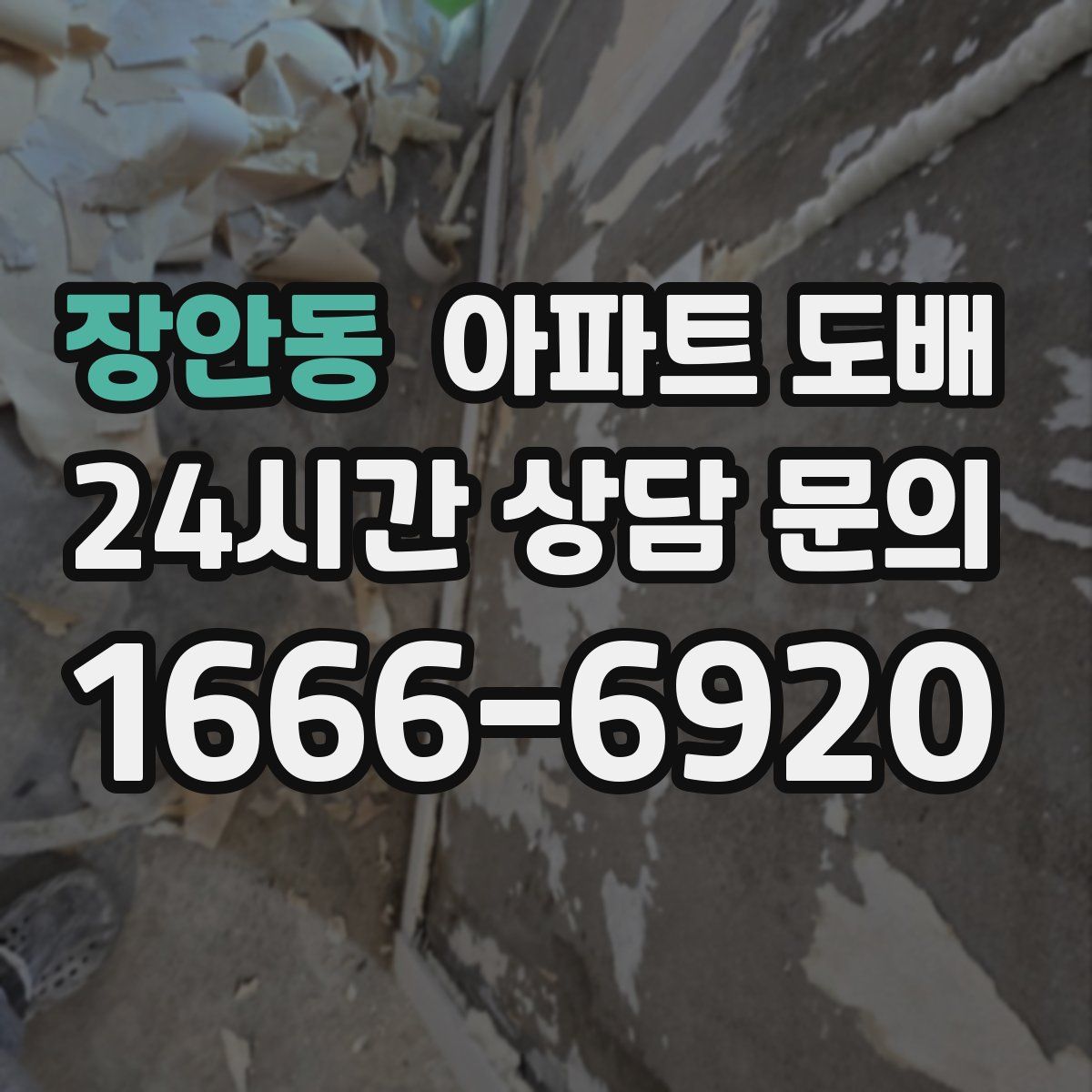 장안동 아파트 도배