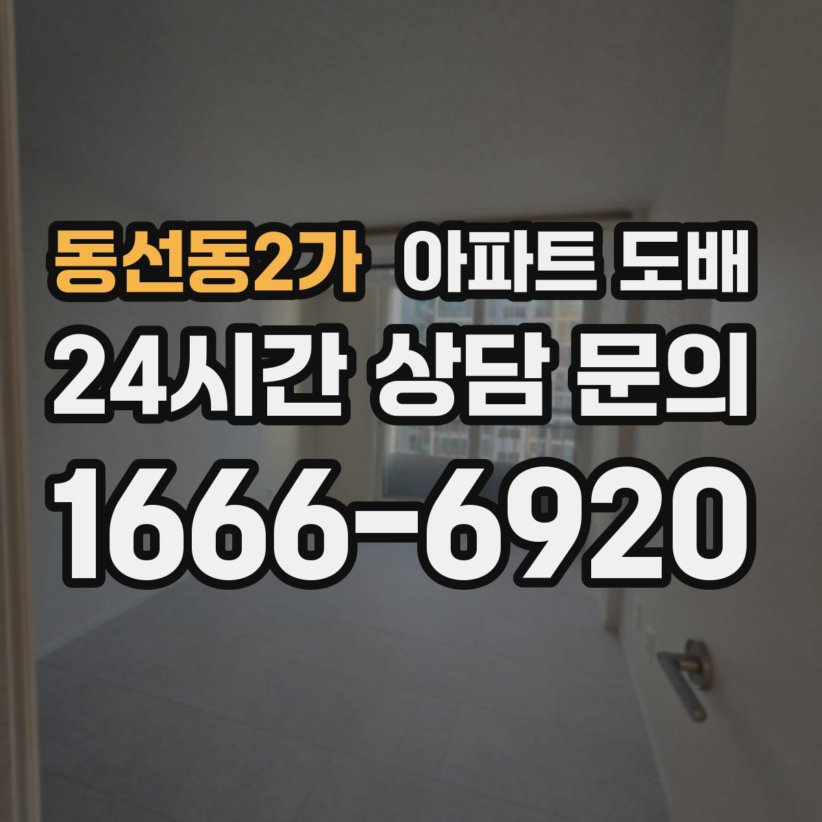 동선동2가 아파트 도배