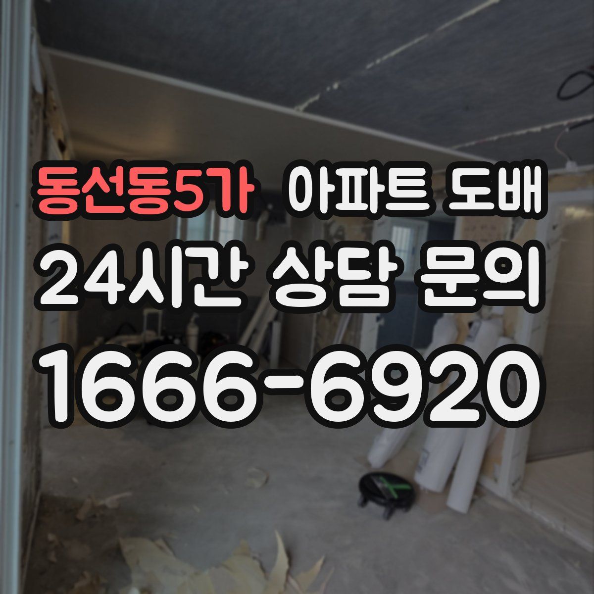 동선동5가 아파트 도배