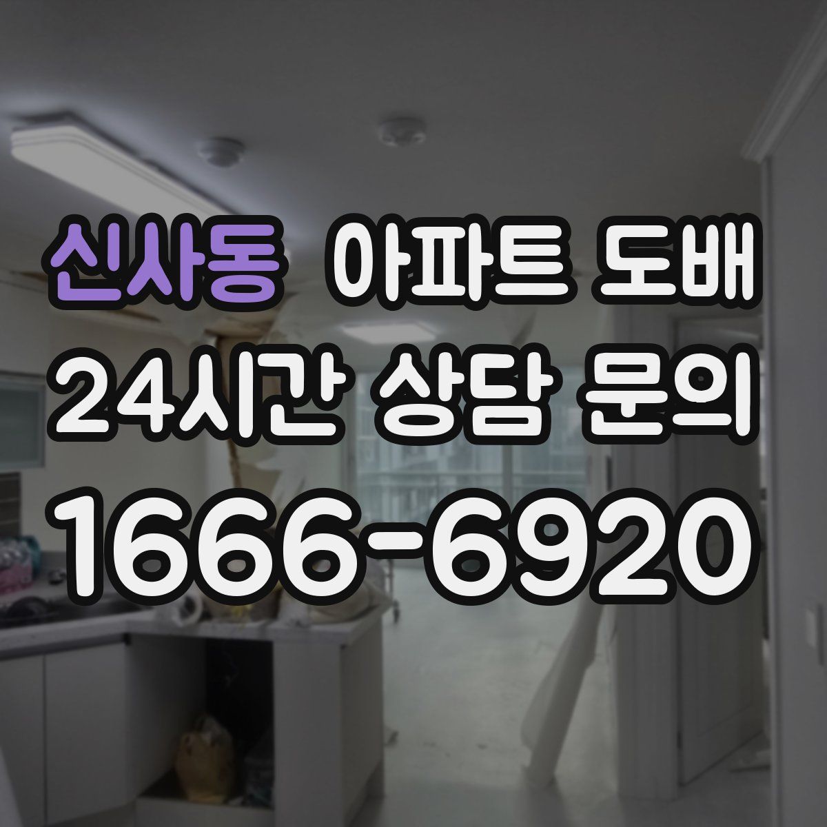 신사동 아파트 도배