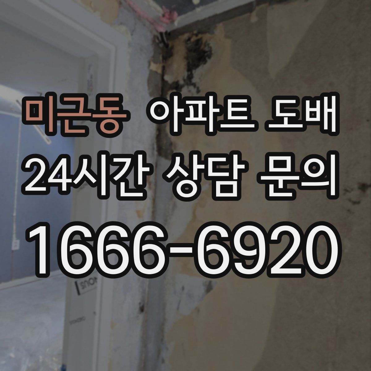 미근동 아파트 도배