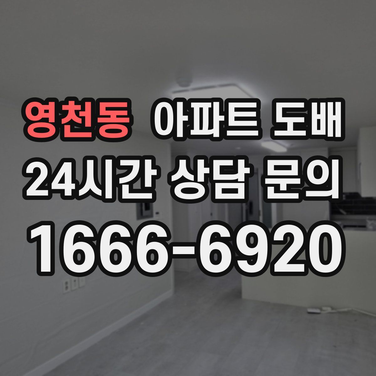 영천동 아파트 도배