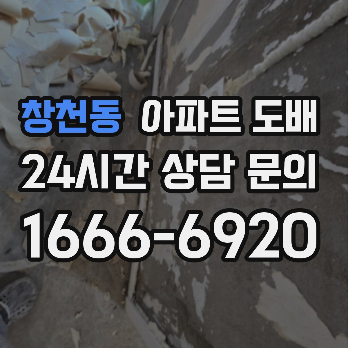 창천동 아파트 도배