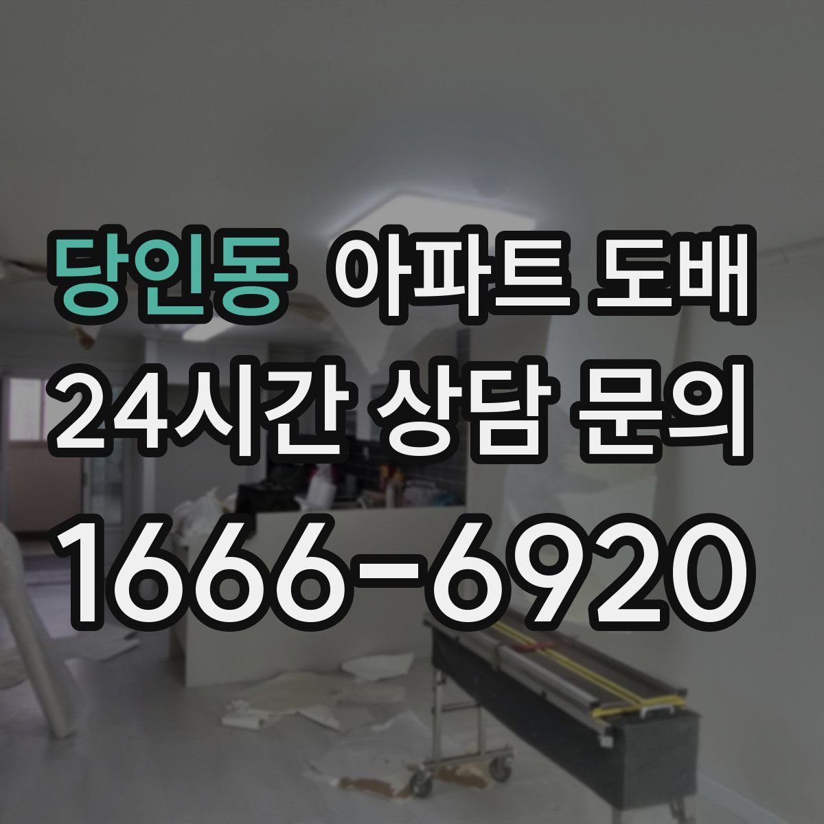 당인동 아파트 도배