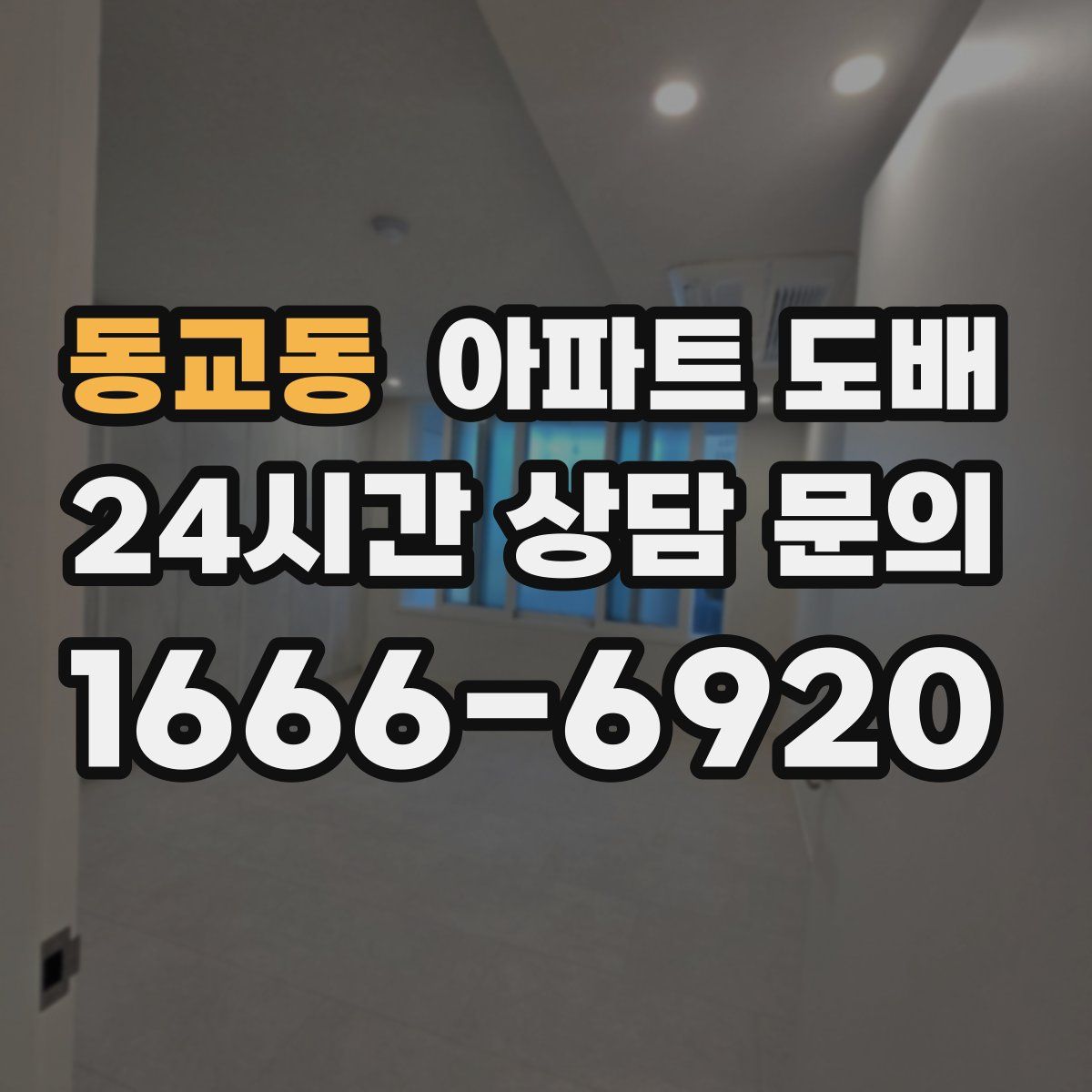 동교동 아파트 도배