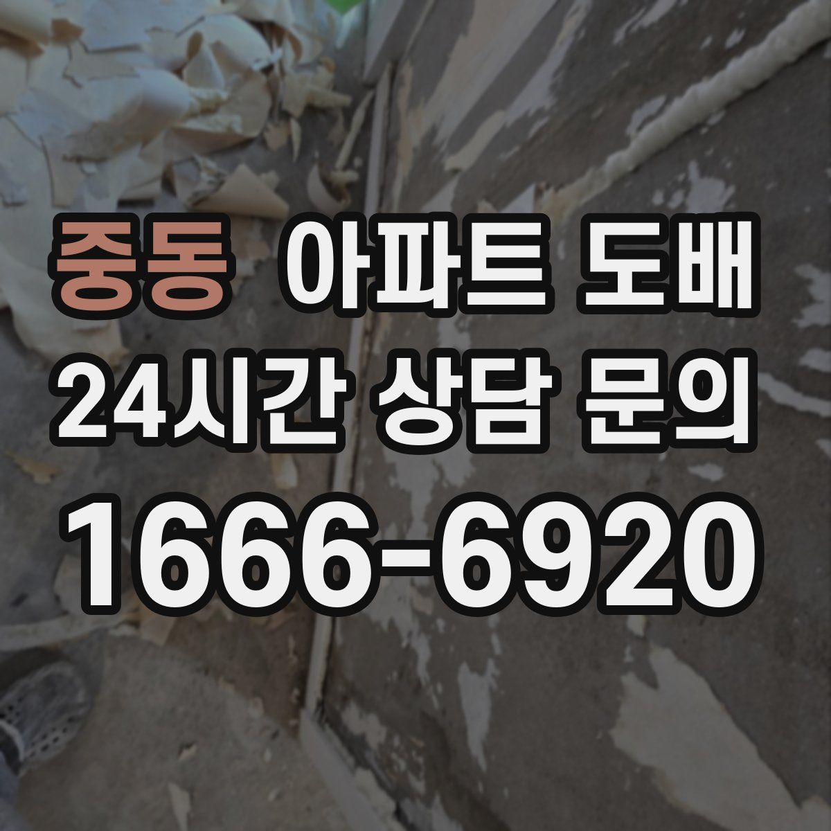 중동 아파트 도배