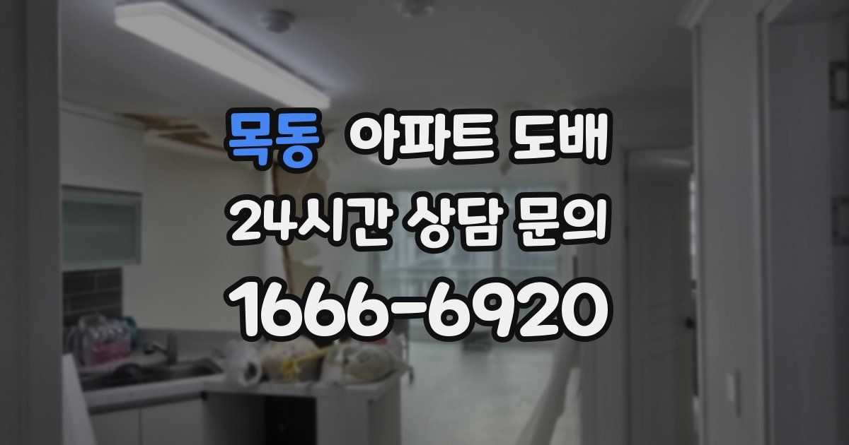 목동 아파트 도배