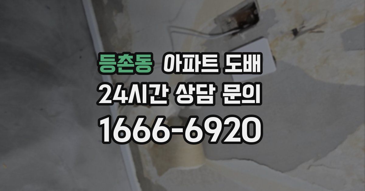 등촌동 아파트 도배