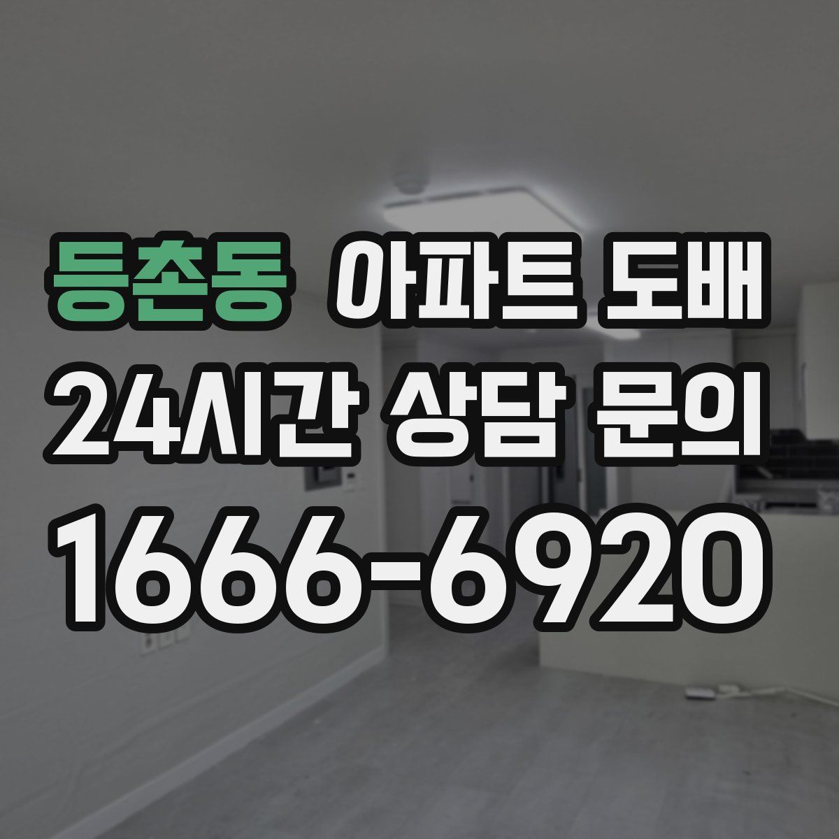 등촌동 아파트 도배