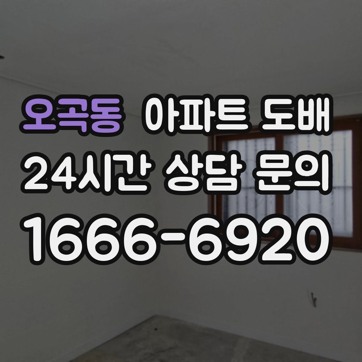 오곡동 아파트 도배