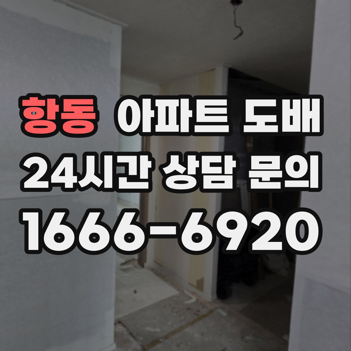 항동 아파트 도배