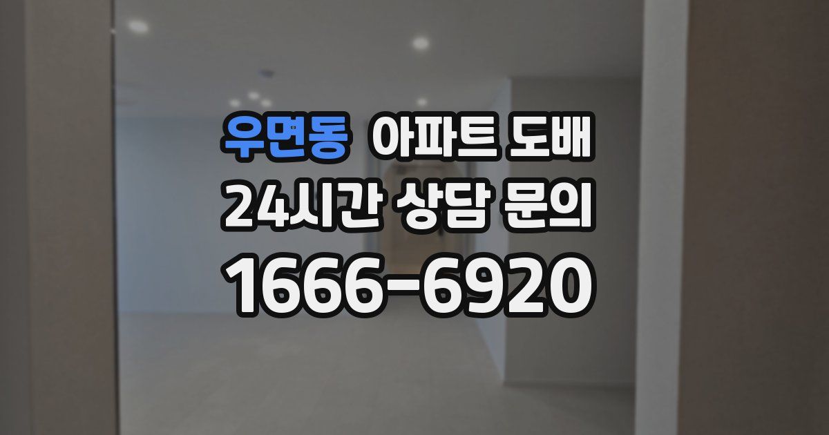 우면동 아파트 도배